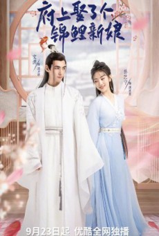 The Blessed Bride จวนของข้ามีฮูหยินคนใหม่  ซับไทย